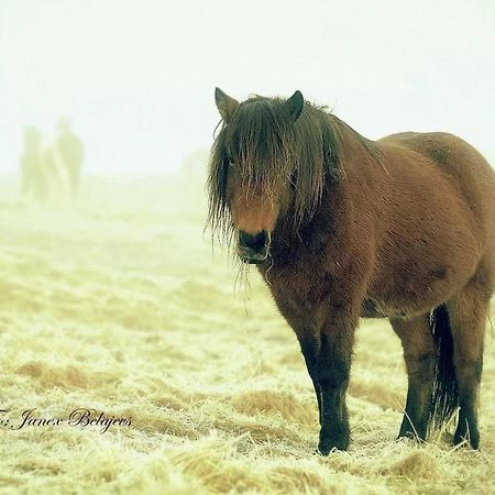 Готель Efri-Gegnisholar Сельфосс Екстер'єр фото